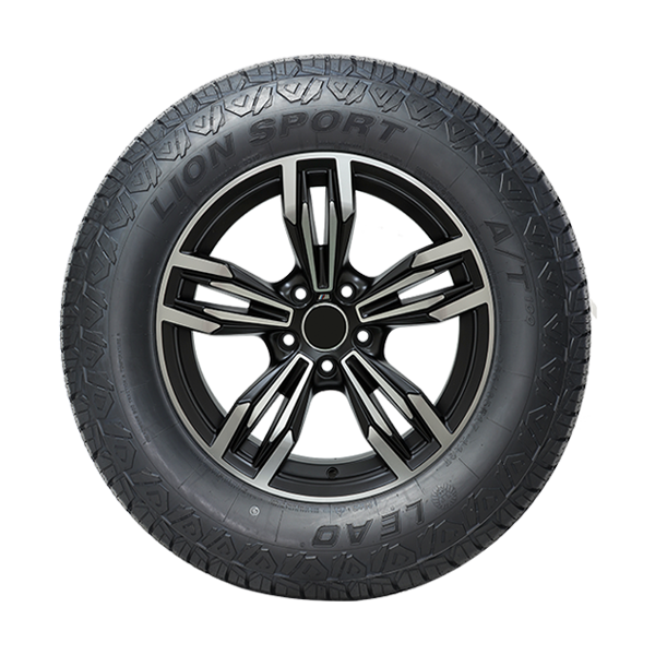 LION SPORT A/T100