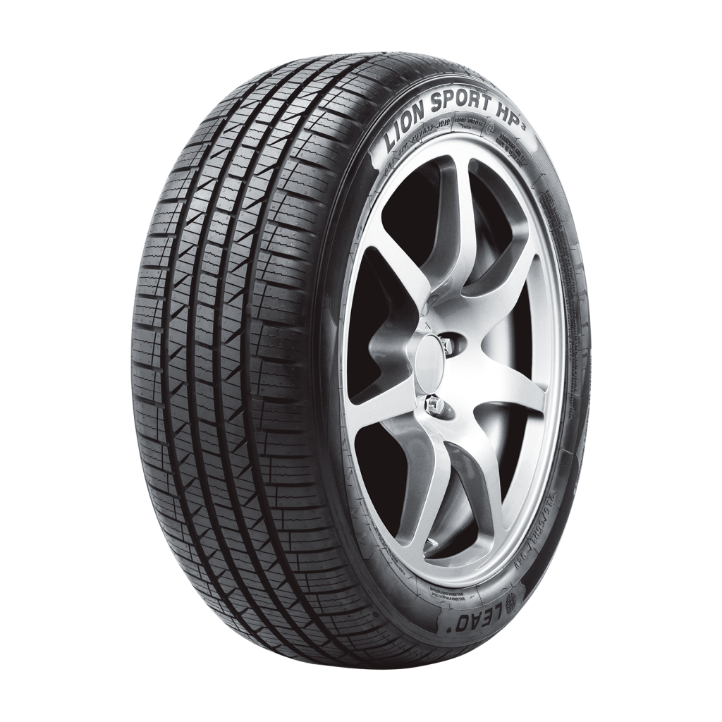 라이언 스포츠 HP 3